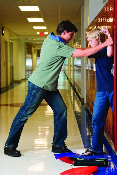 Bully Website